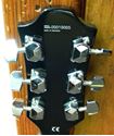 Picture of HONER RP250G GUITAR