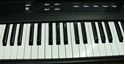 Picture of WILLIAMS LEGATO MUSIC KEYBOARD