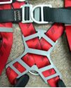 Picture of MSA 10041615 Body Harness W/ MSA 10023970 Lanyard, 2 Leg, Nylon , Red