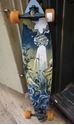 Picture of Arbor Fish Longboard Skateboard Trees 46 Inch R12