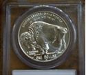 Picture of 2001 D Denver Buffalo Commemorative Silver Dollar $1 PCGS MS 69