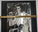 Picture of ELVIS PRESLEY COLLECTIBLE PLATE PLAGUE BOOK 