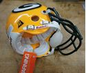 Picture of BRETT FAVRE SIGNED MINI HELMET WITH CASE; COA; AND FOOTBALL CARD MINT COLLECTIBLE. 