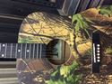 Picture of Indiana camo design I camo Guitar pre owned 817115-1 