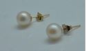 Picture of 14kt yellow gold studs with pearls 7mm 1.2 grams 810933-1